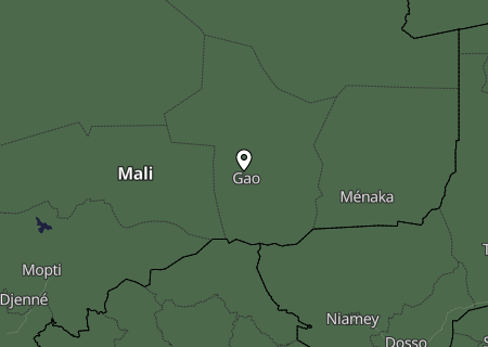 Niederschlagsprognose