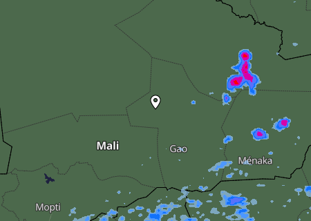 Niederschlagsprognose