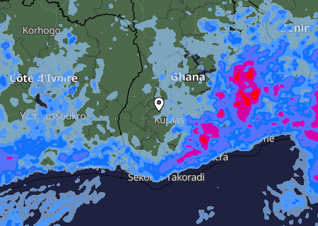 Niederschlagsprognose