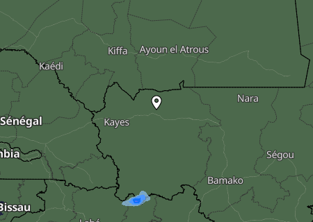 Niederschlagsprognose