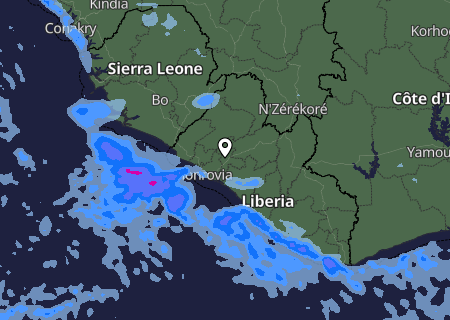 Niederschlagsprognose