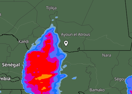 Niederschlagsprognose