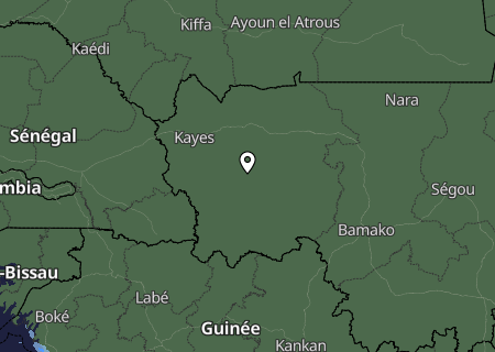 Niederschlagsprognose