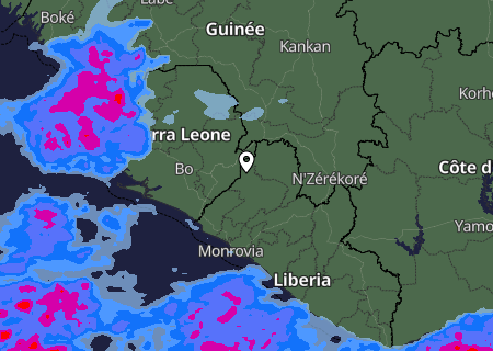 Niederschlagsprognose