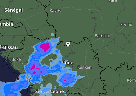 Niederschlagsprognose
