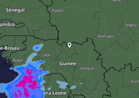 Niederschlagsprognose