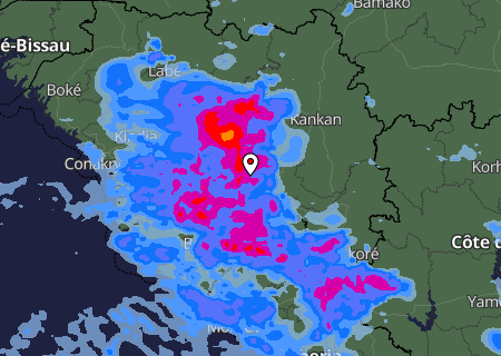 Niederschlagsprognose