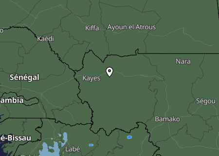 Niederschlagsprognose