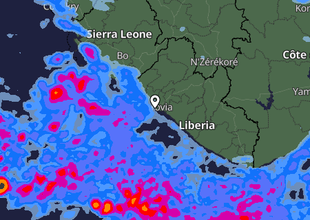 Niederschlagsprognose