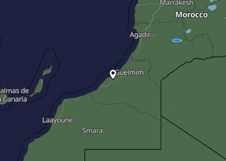 Niederschlagsprognose