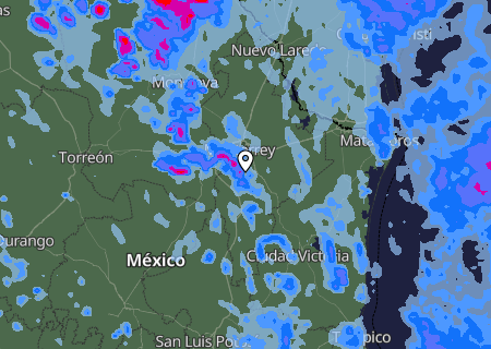 Niederschlagsprognose