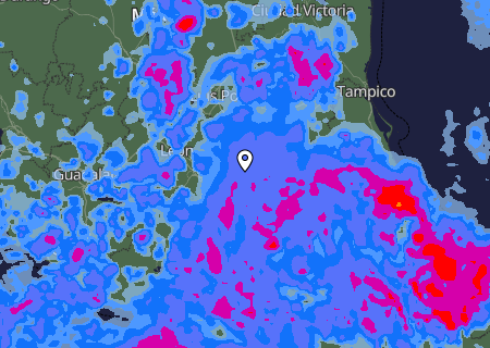 Niederschlagsprognose