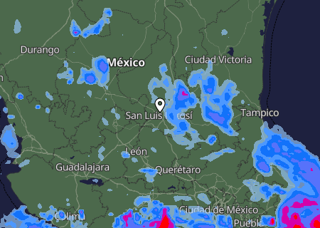Niederschlagsprognose