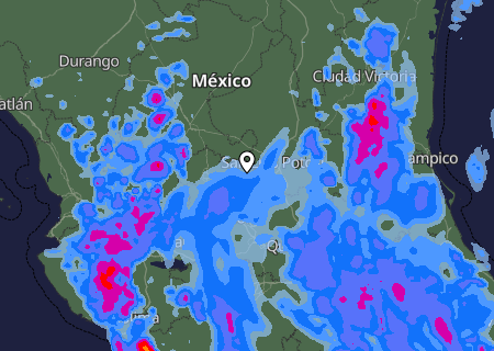 Niederschlagsprognose