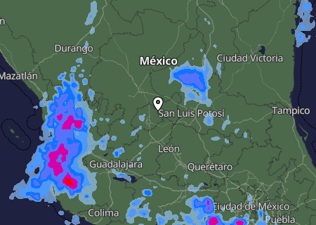 Niederschlagsprognose