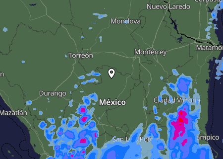 Niederschlagsprognose
