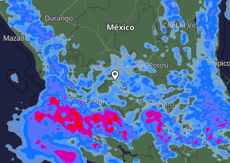 Niederschlagsprognose