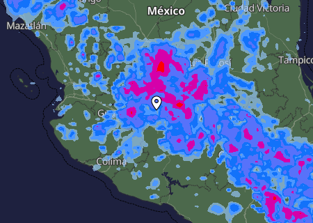 Niederschlagsprognose
