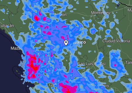 Niederschlagsprognose