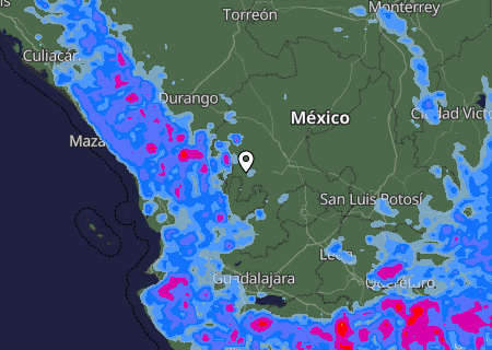 Niederschlagsprognose