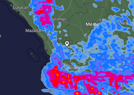 Niederschlagsprognose