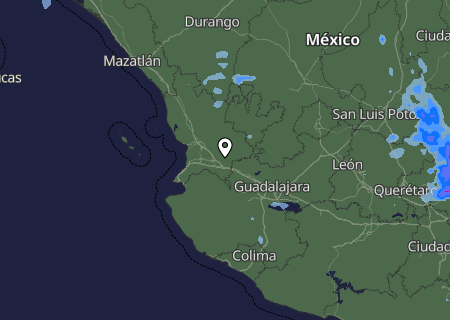 Niederschlagsprognose