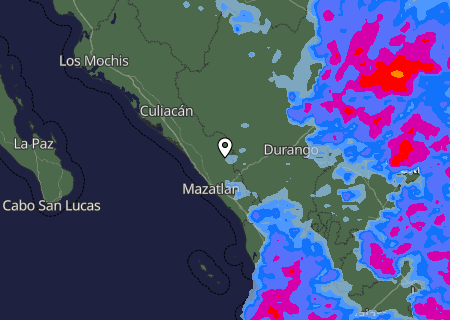 Niederschlagsprognose