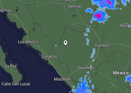 Niederschlagsprognose