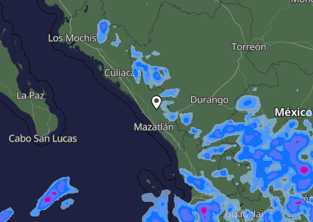 Niederschlagsprognose