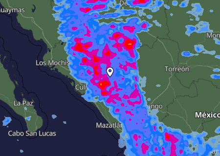 Niederschlagsprognose