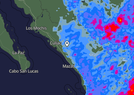 Niederschlagsprognose