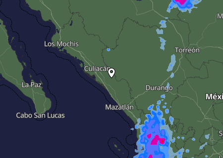 Niederschlagsprognose