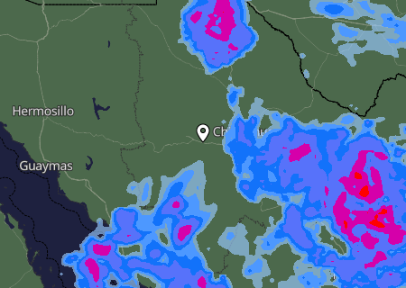 Niederschlagsprognose