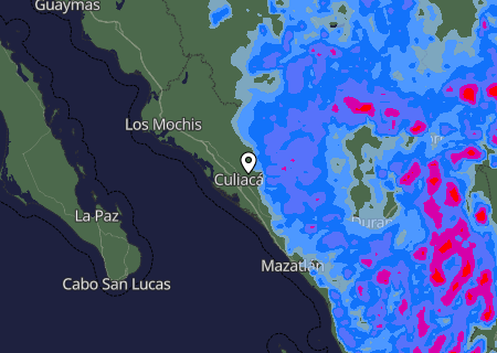 Niederschlagsprognose