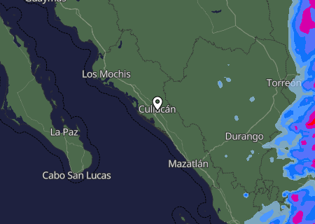 Niederschlagsprognose
