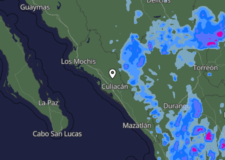 Niederschlagsprognose