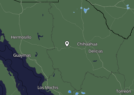 Niederschlagsprognose