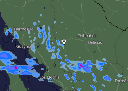 Niederschlagsprognose