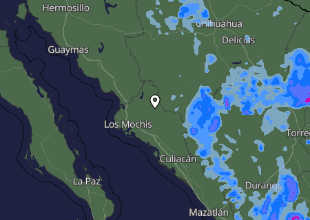 Niederschlagsprognose