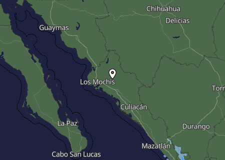 Niederschlagsprognose