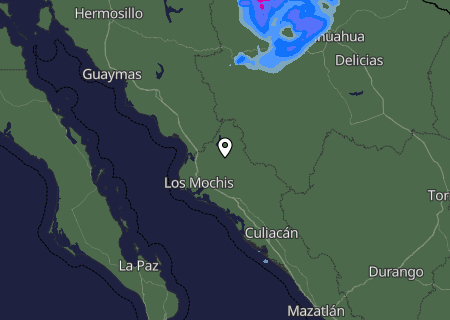 Niederschlagsprognose