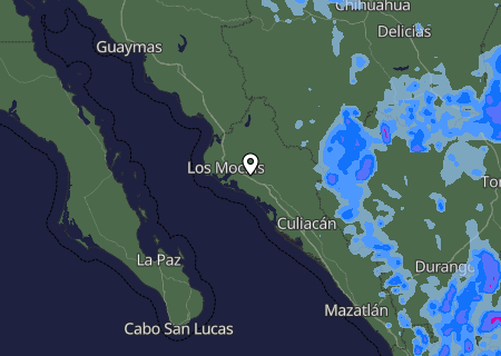 Niederschlagsprognose