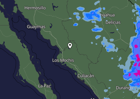 Niederschlagsprognose