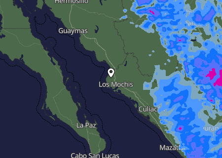 Niederschlagsprognose