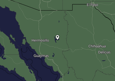 Niederschlagsprognose