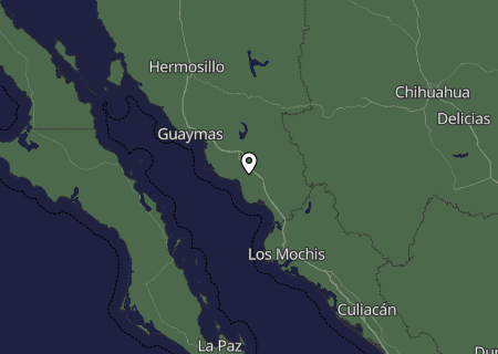 Niederschlagsprognose