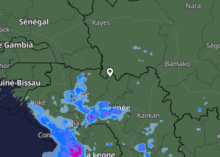 Niederschlagsprognose