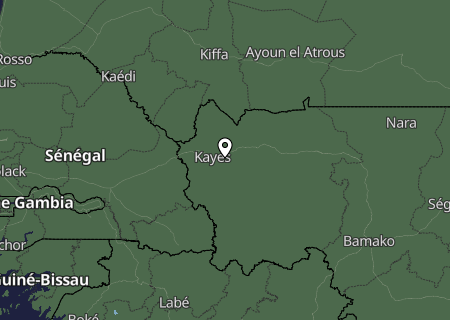 Niederschlagsprognose