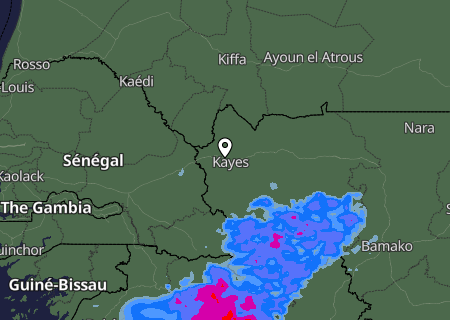 Niederschlagsprognose