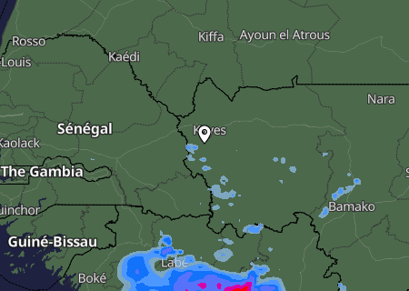 Niederschlagsprognose